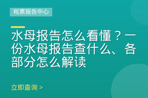 水母报告怎么看懂？一份水母报告查什么、各部分怎么解读